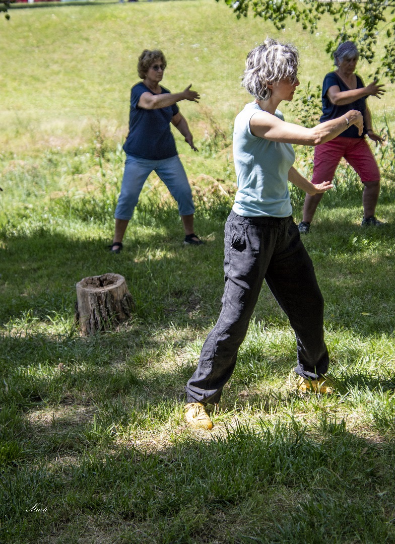 QIGONG-VIC-TXI KUNG-CENTREKARMAIOGAVIC